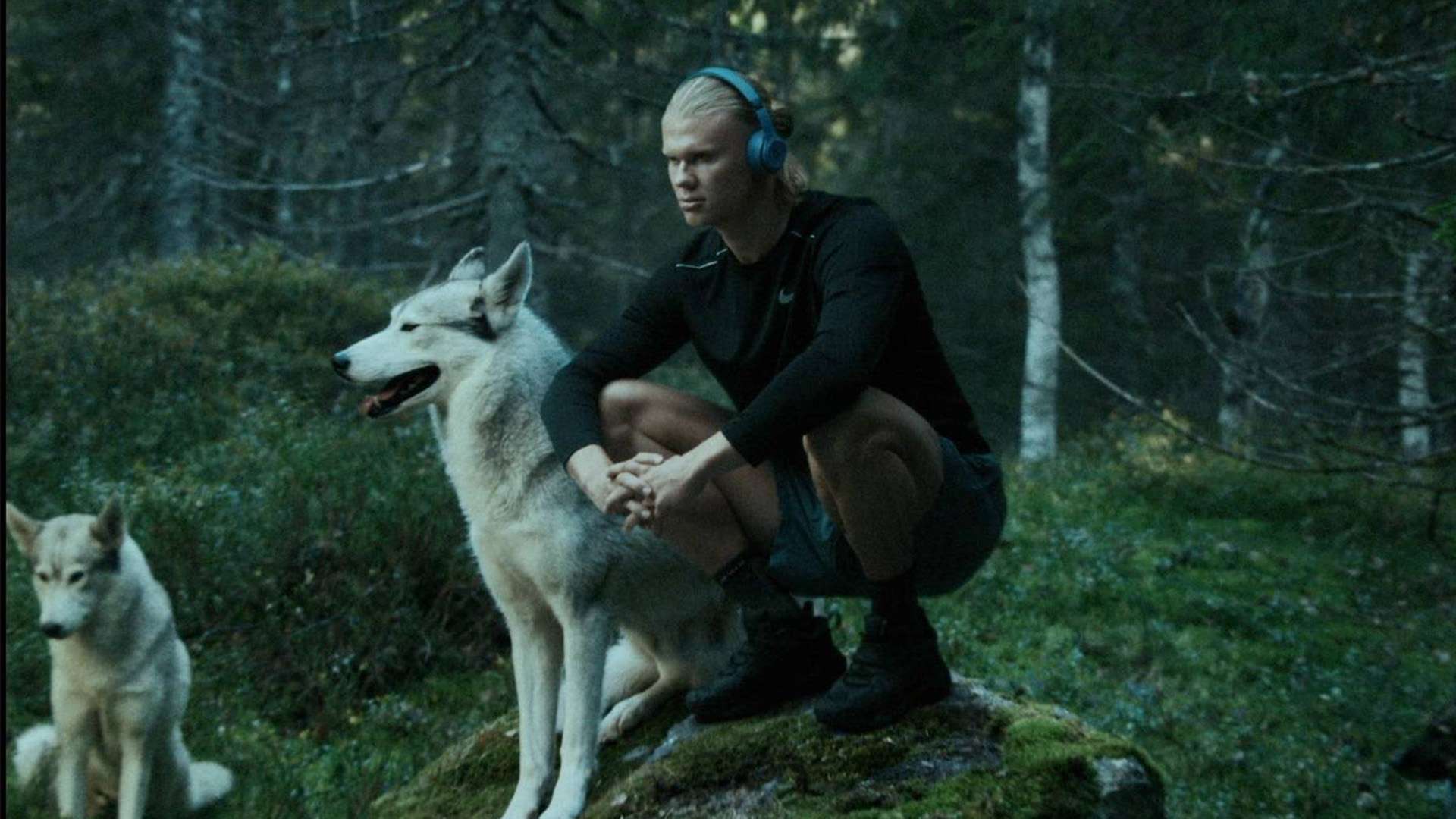 能够发挥重 能够发挥重