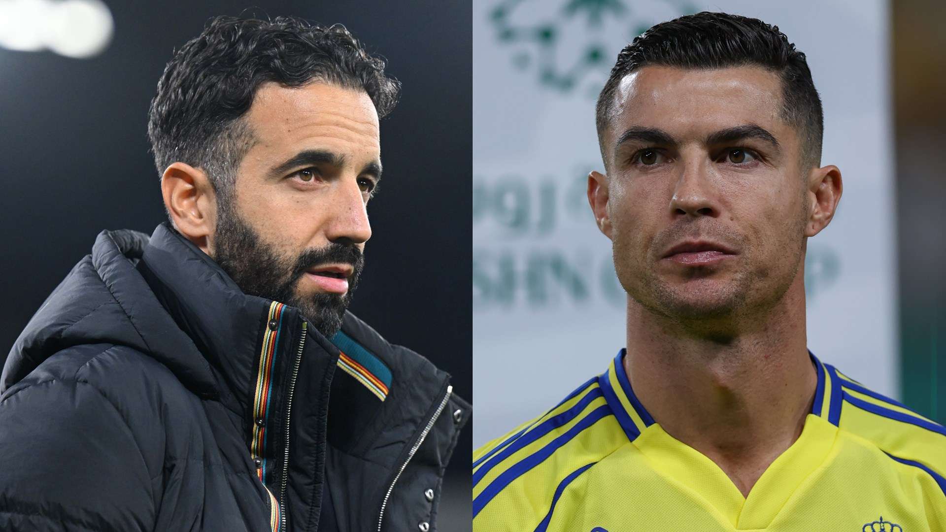 明星球员再 明星球员再